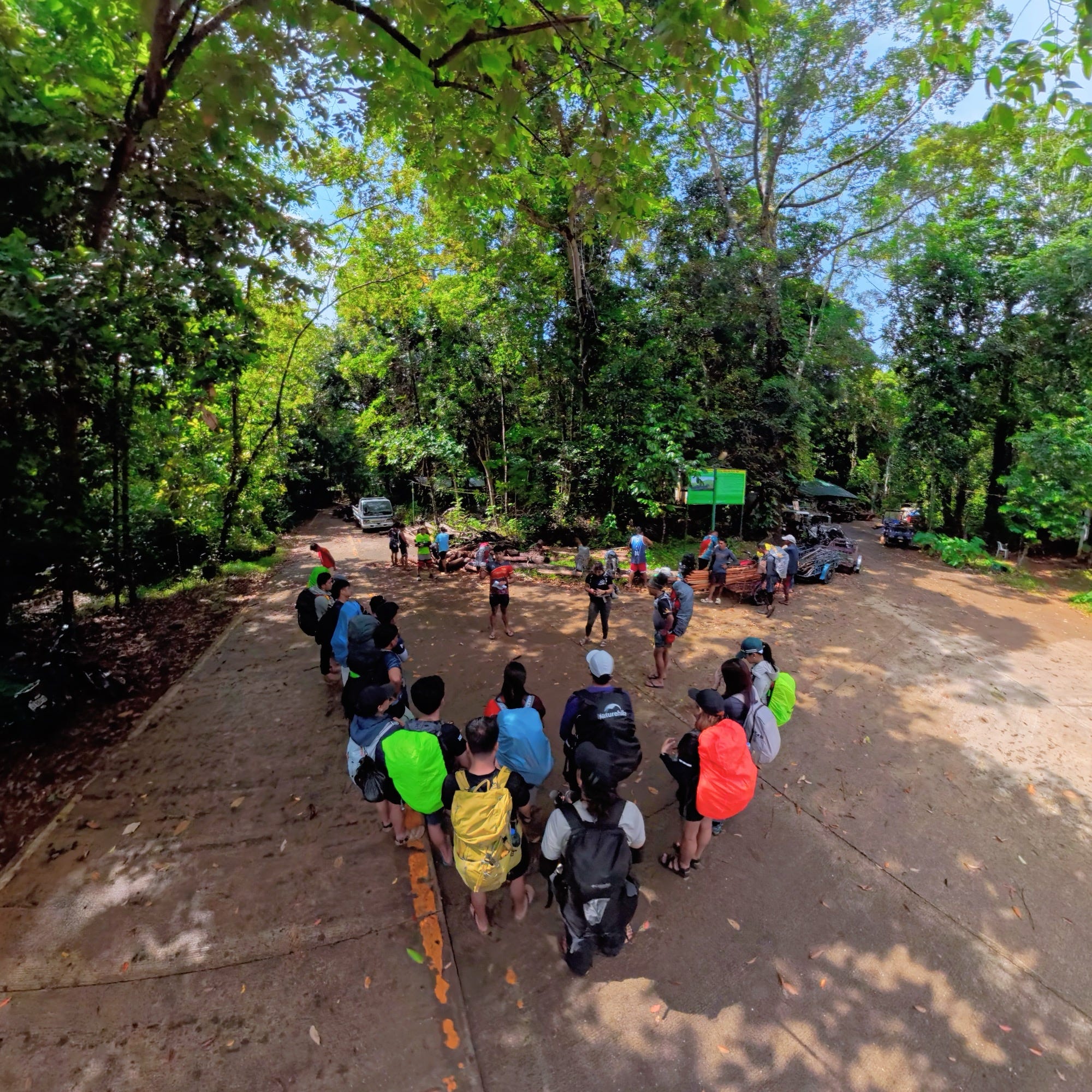 Hikers in a forest clearing